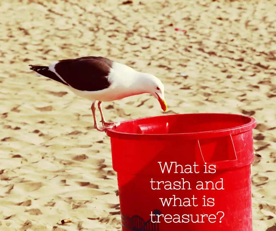 what is trash what is treasure