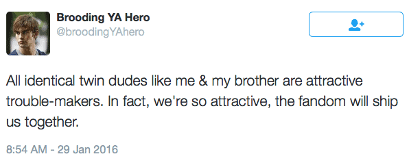 Twins Brooding YA Hero