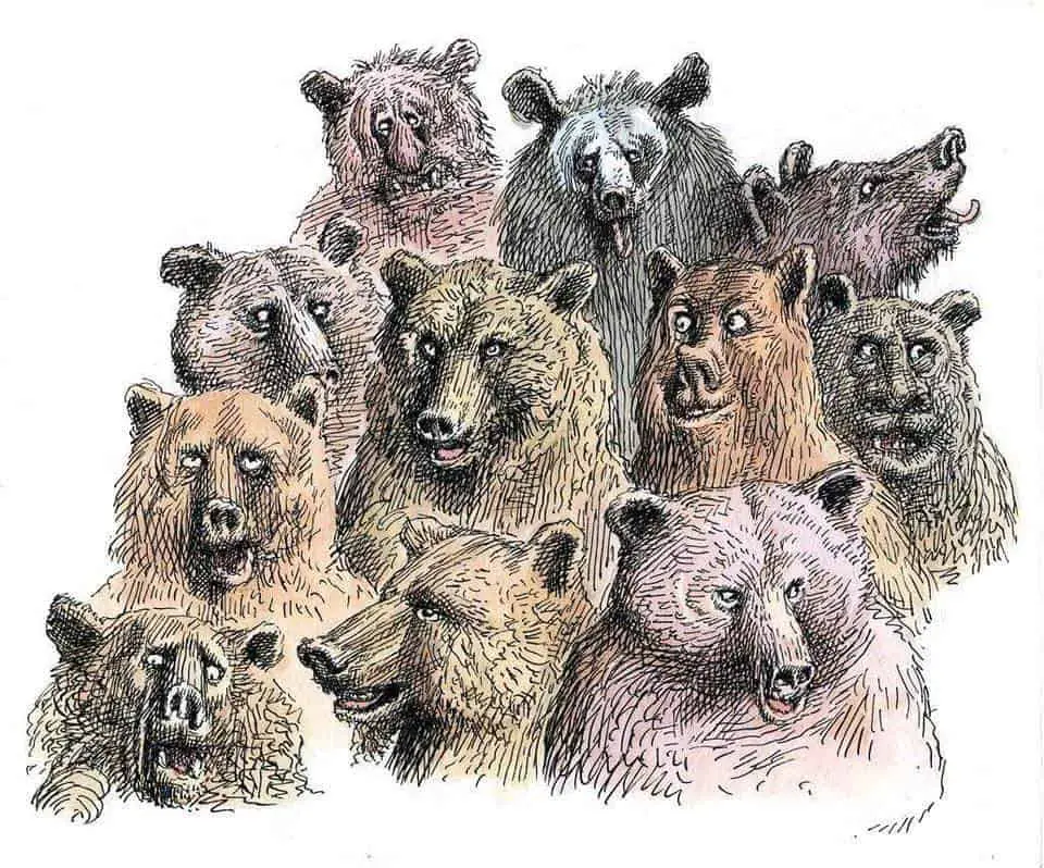 Bears In Art and Storytelling