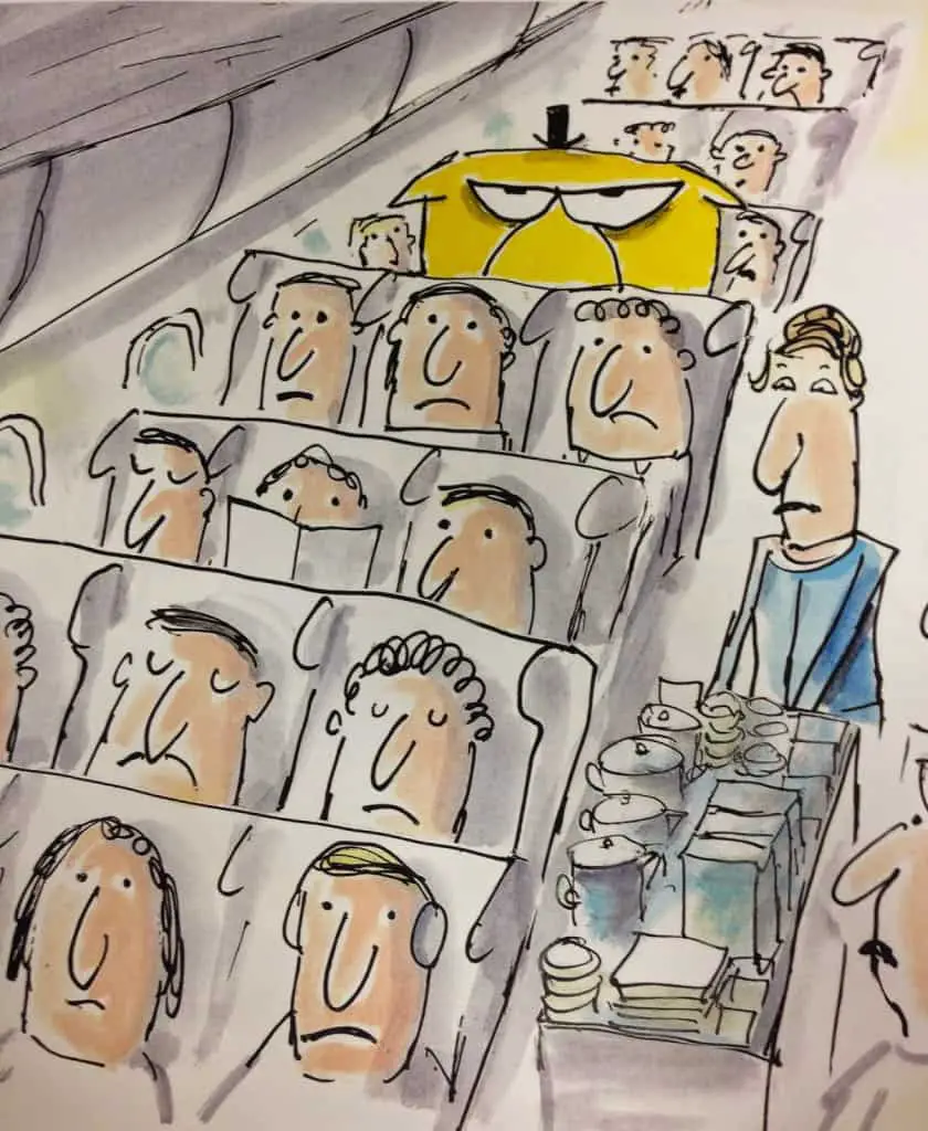 Mr Chicken On The Plane