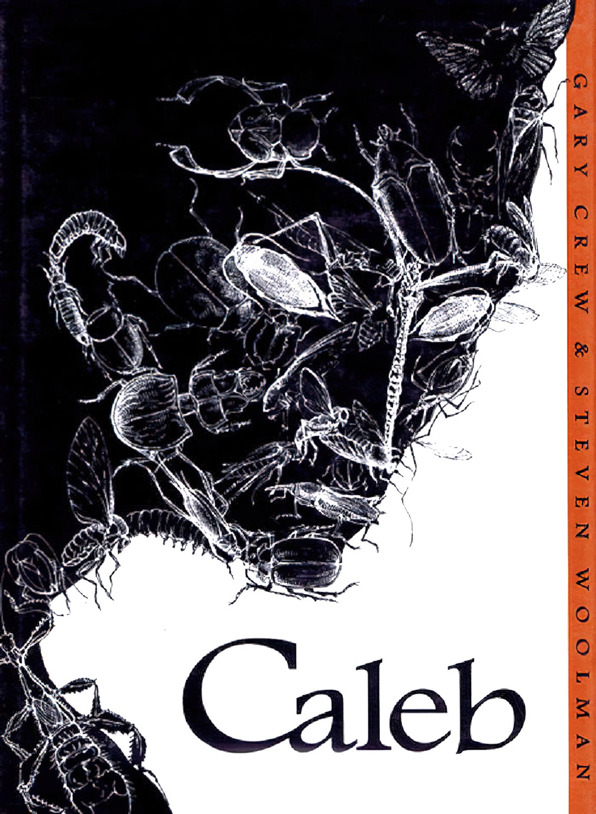 Caleb by Gary Crew and Steven Woolman Analysis