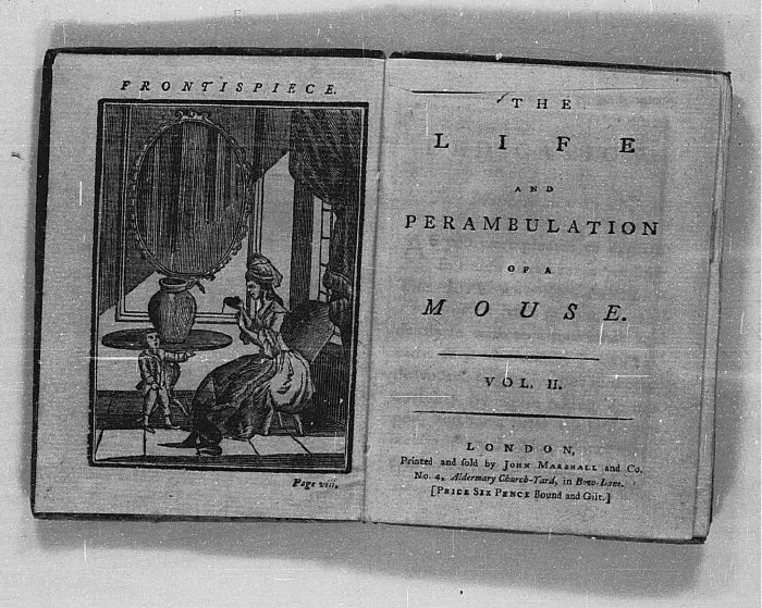 The Life And Perambulations Of A Mouse