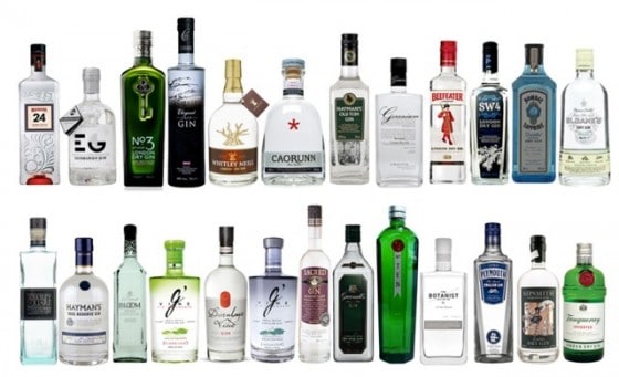 The Sorrows of Gin
