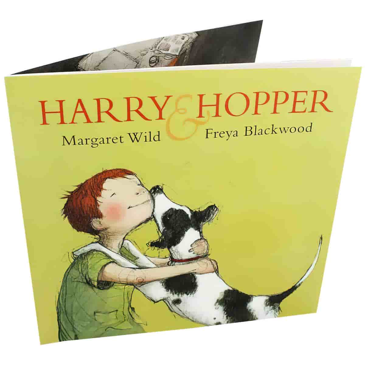 Harry and Hopper by Margaret Wild and Freya Blackwood Analysis