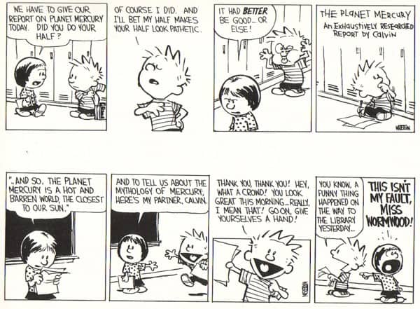 The 'Everybody Loves Raymond' character web is everywhere, including in Calvin and Hobbes, in which the girl and the mother get to play the straight 'guys'.
