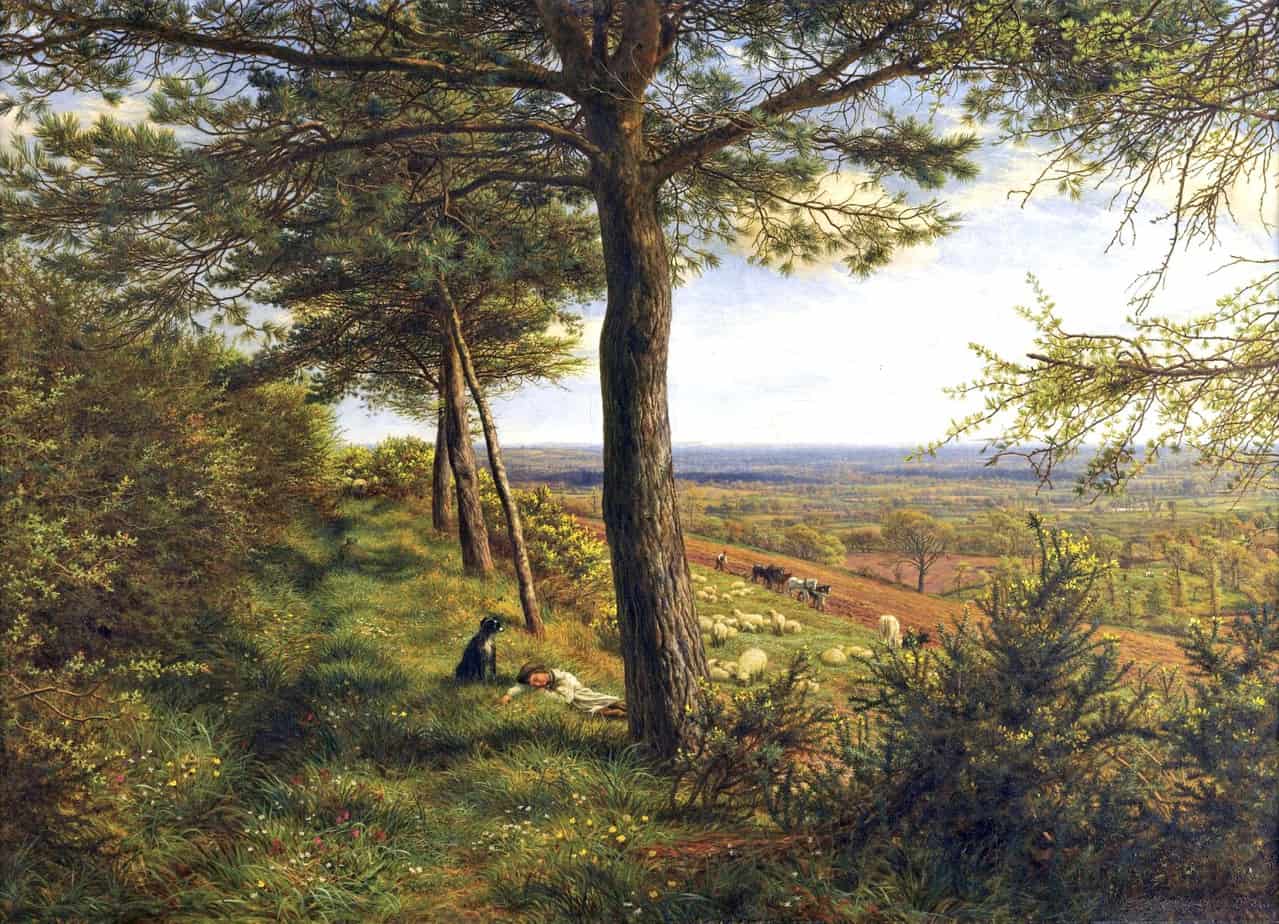 James Thomas Linnell - Firs and Furze