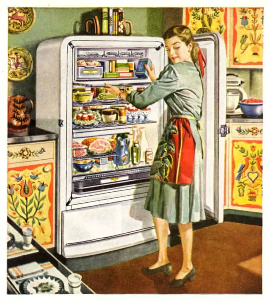 What is ‘The Fridge Test’?