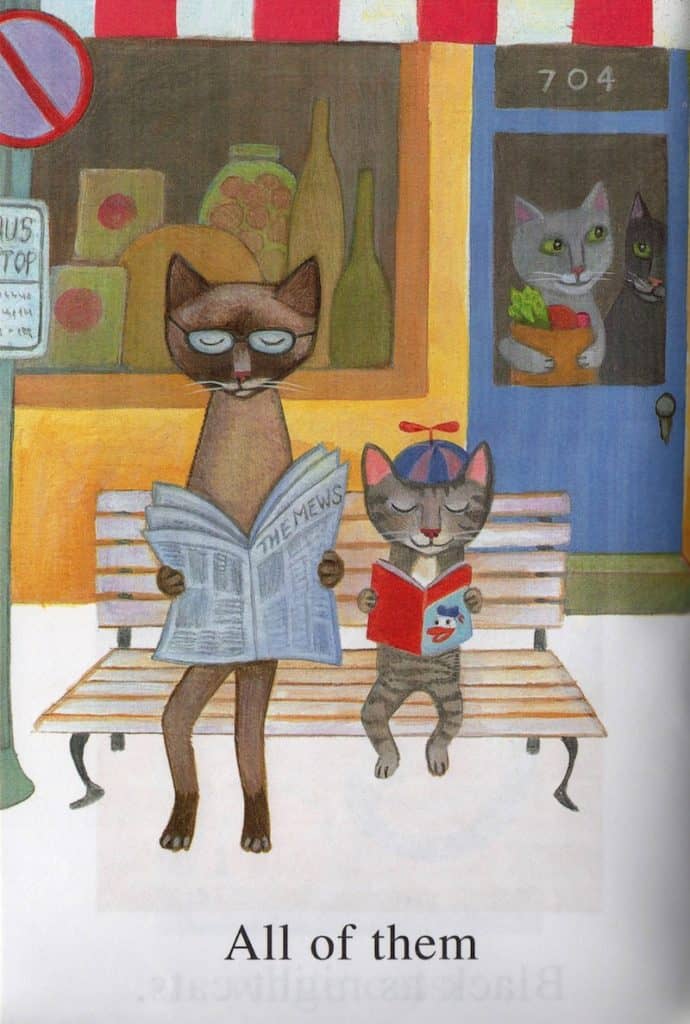 City Cats, Country Cats by Barbara Shook Hazen