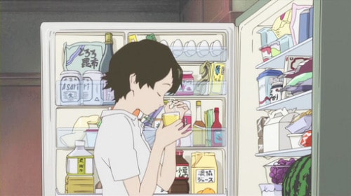 fridge the girl who leapt through time
