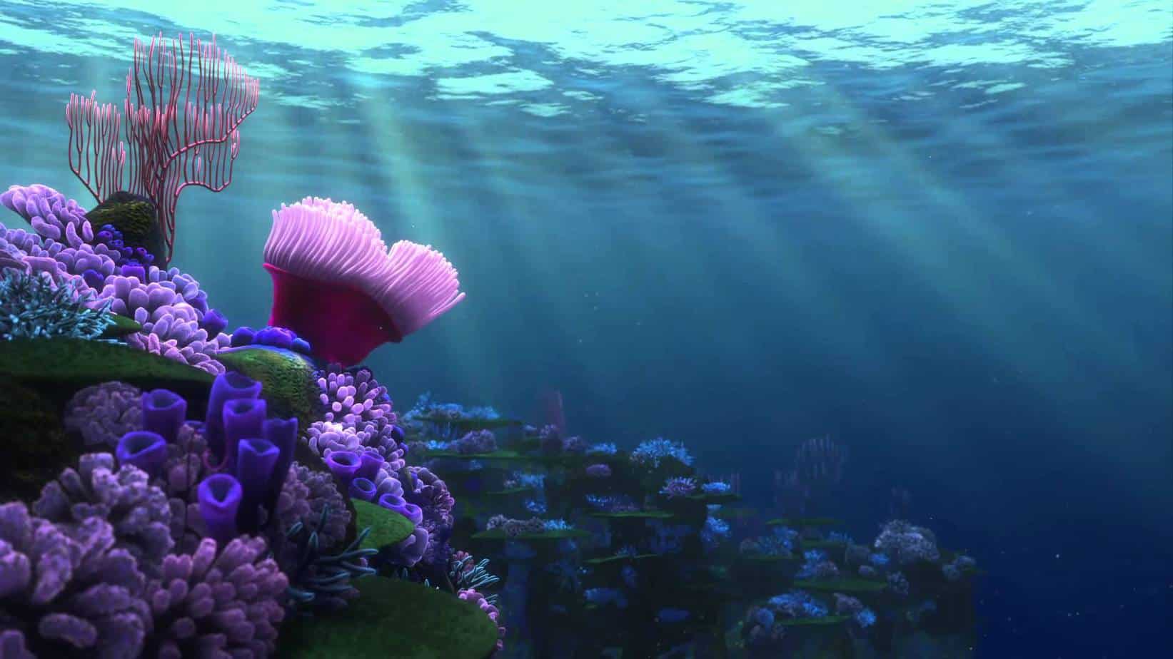 Finding Nemo underwater