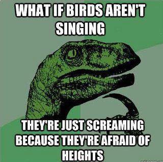 What if birds aren't singing