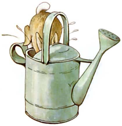 elongated droplets watering can Peter Rabbit