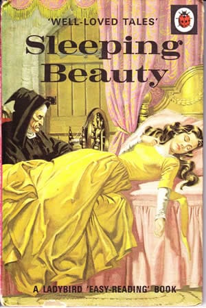Sleeping Beauty Ladybird well loved tales