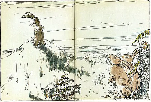 rabbit on the hill