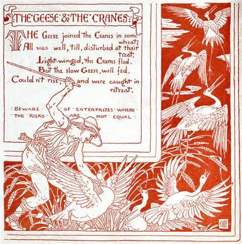 the-geese-and-the-cranes