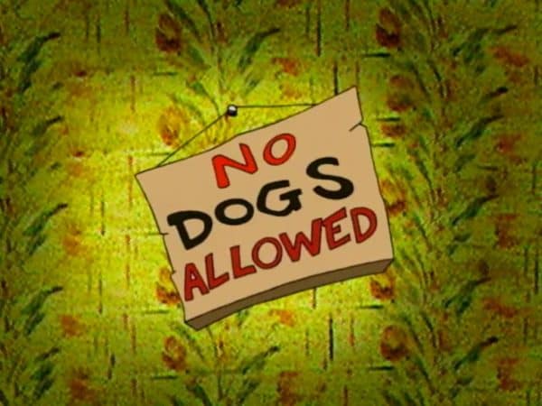 no-dogs-allowed
