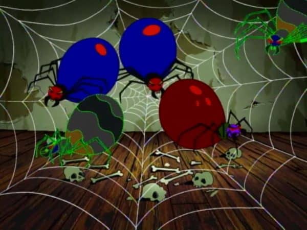 spiders