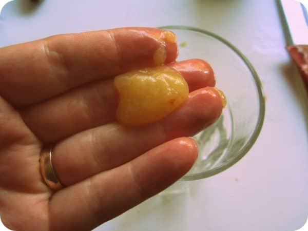 Russian fudge soft ball