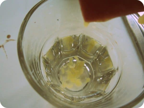 Russian Fudge soft ball test