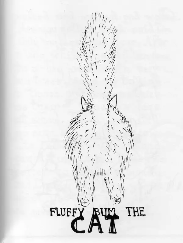 Badjelly the Witch Fluffy Bum The Cat