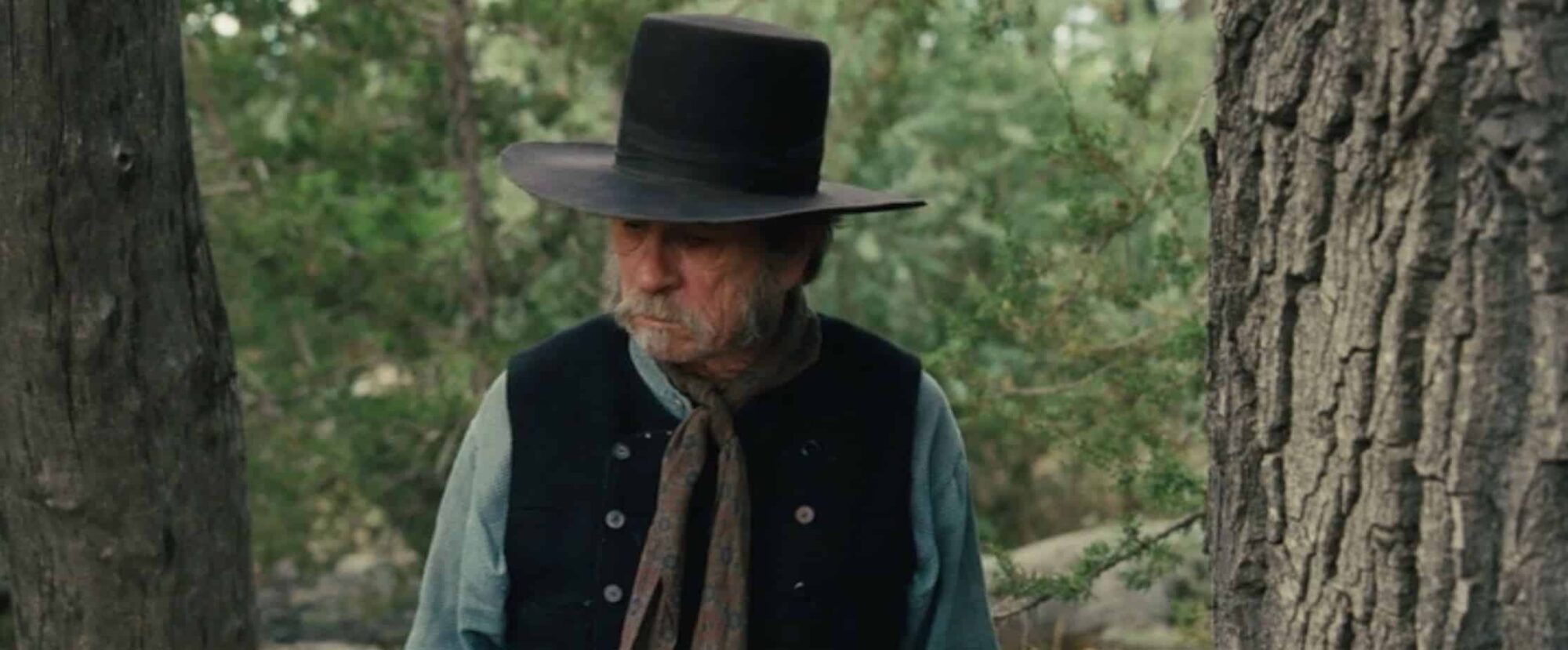 The Homesman interiority
