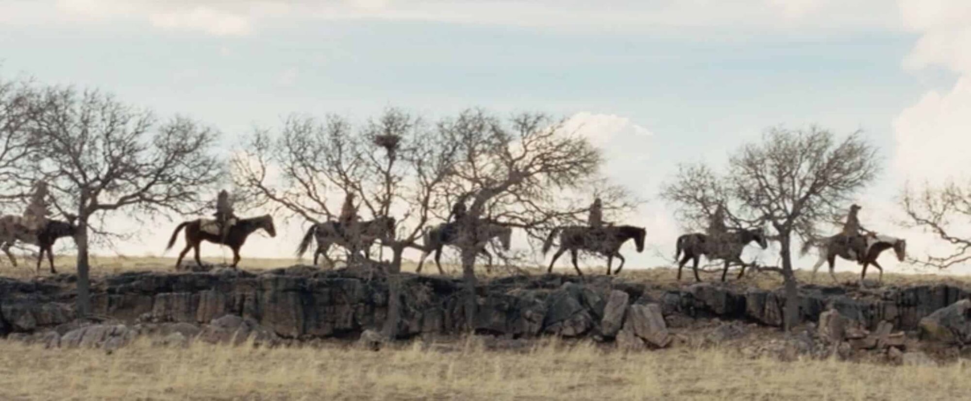 The Homesman line of horses