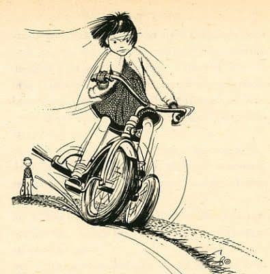 emotional literacy is taught via the Ramona books