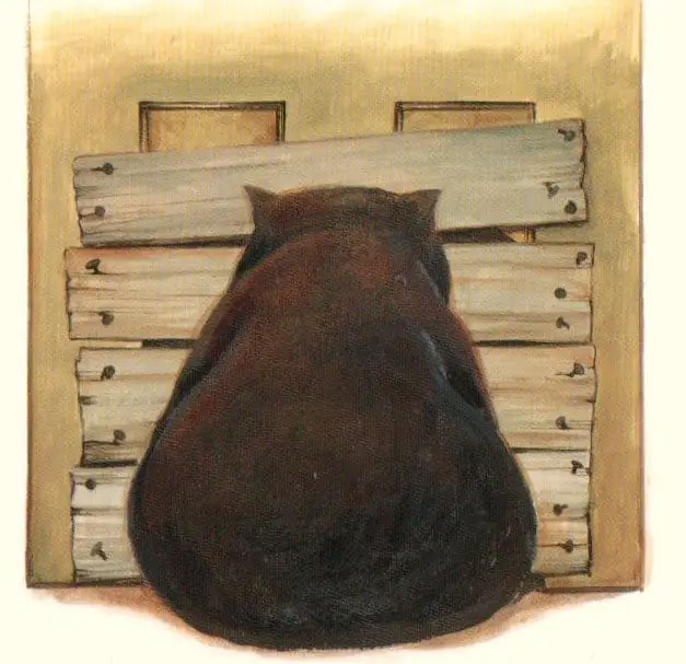 Diary of a Wombat back view