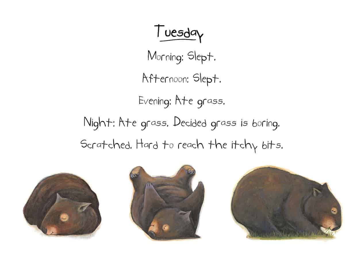 Tuesday Diary of a Wombat