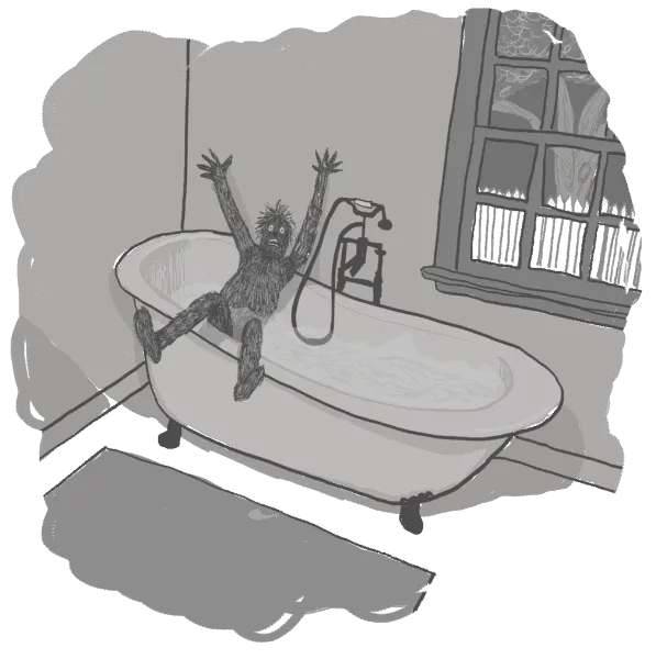 bathroom illustration