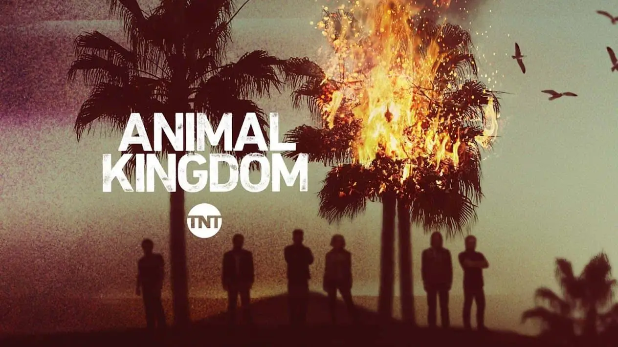 Animal Kingdom poster