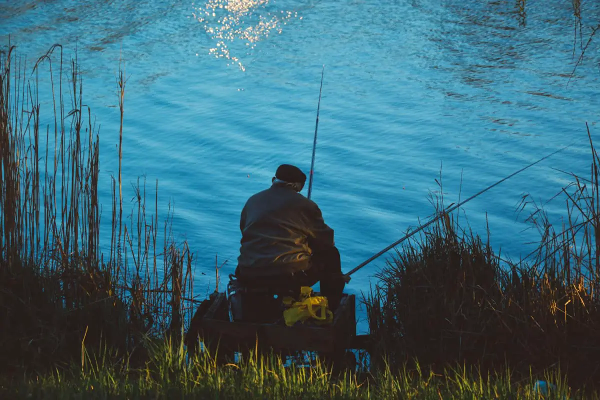 trout fishing