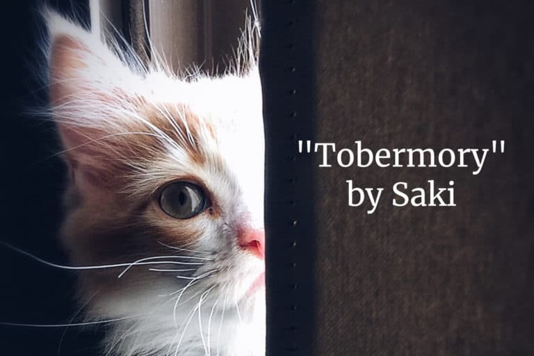 Tobermory Short Story by Saki Analysis SLAP HAPPY LARRY