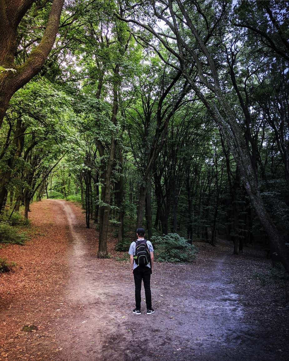 young man standing at crossroads in the woods