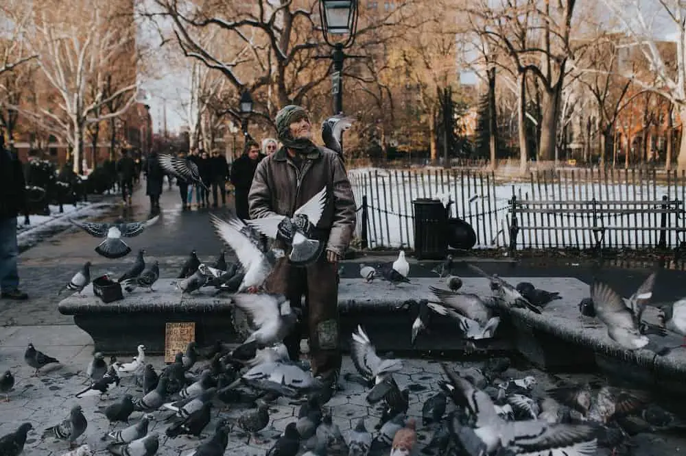 man surrounded by rock pigeons