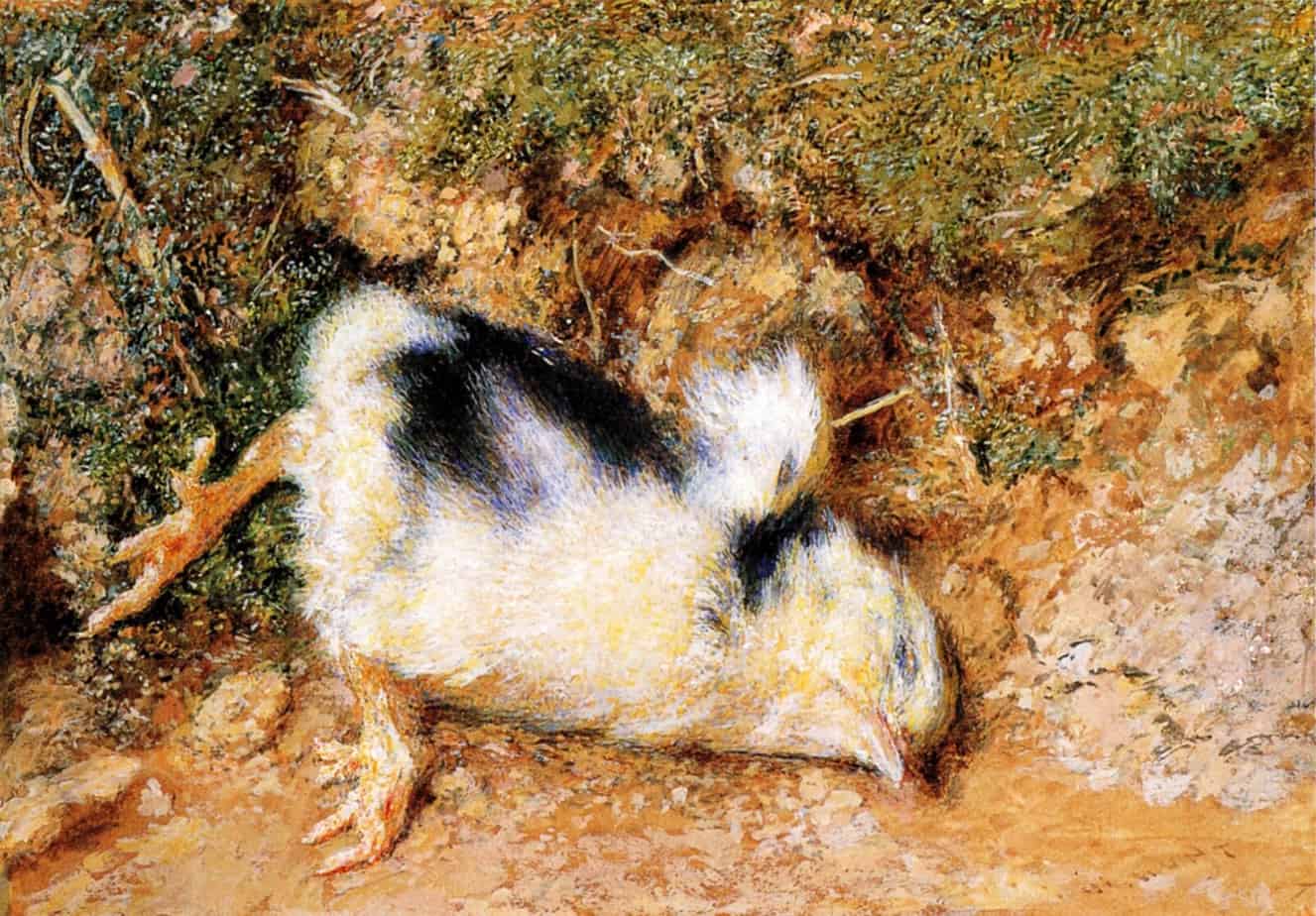 William Holman Hunt - John Ruskin's Dead Chick