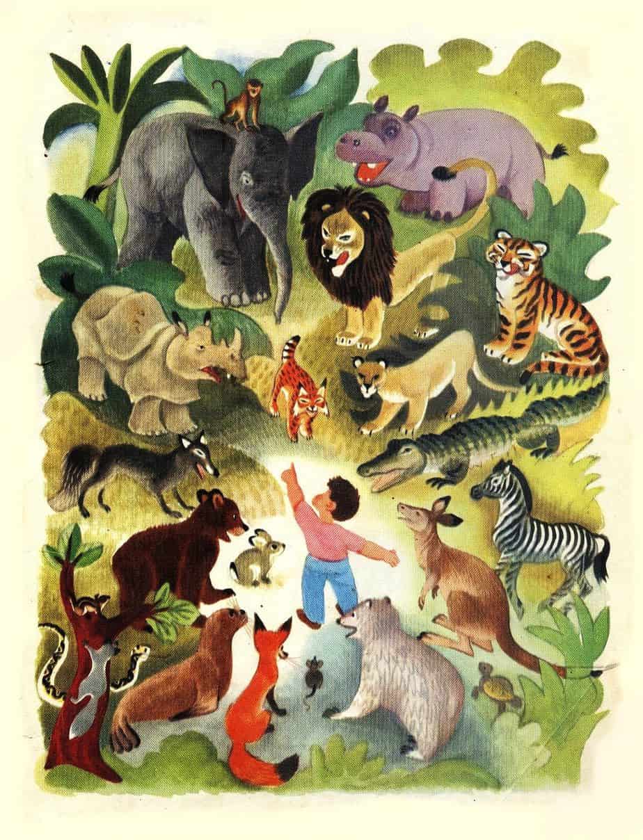 Jane Werner (1914-2005) and Cornelius De Witt (1925-1970) collaborated and produced this 1949 book called- Words How They Look and What They Tell animals in forest