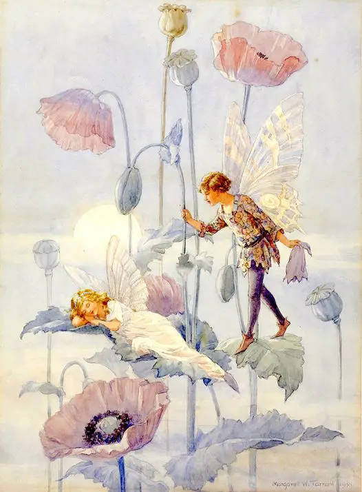 Margaret Tarrant (British illustrator and writer) 1888 - 1959 Poppies/ Flower Fairies, 1921-