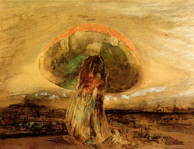 Mushroom by Victor Hugo 1850