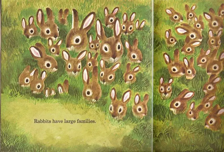 Rabbits and Hares in Art and Storytelling | SLAP HAPPY LARRY