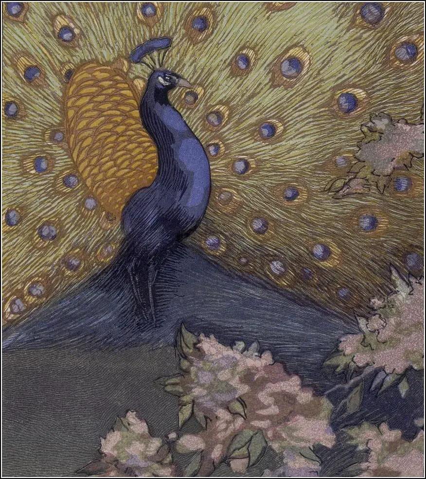 by the French artist Paul Jouve 1878 - 1973, for Le Livre de la Jungle (The Jungle Book), Rudyard Kipling, 1919 peacock