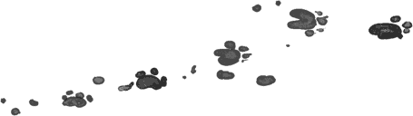 dog paw prints border