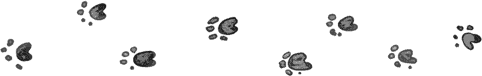 dog paw prints border