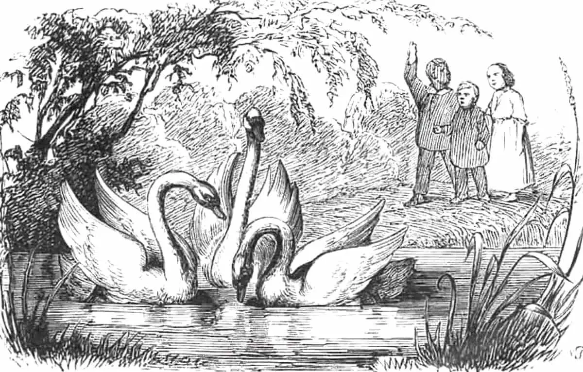 The Ugly Duckling by Hans Christian Andersen Fairy Tale Analysis