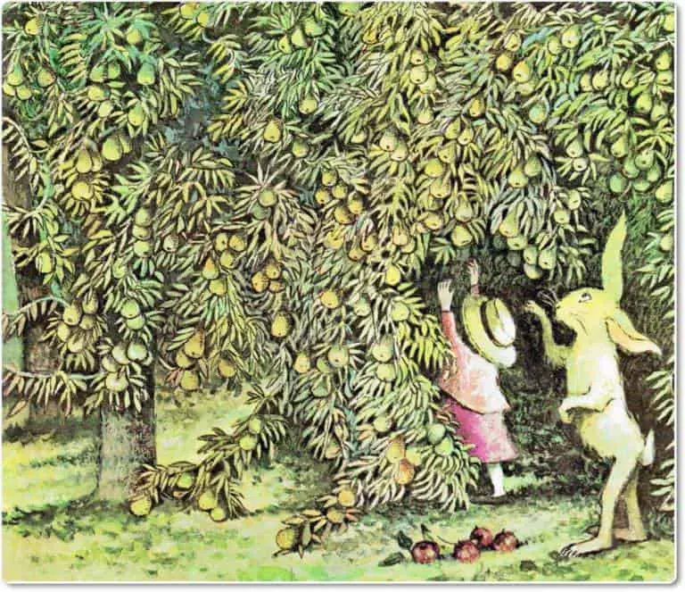 Mr. Rabbit and the Lovely Present by Charlotte Zolotow pictures by Maurice Sendak, 1962