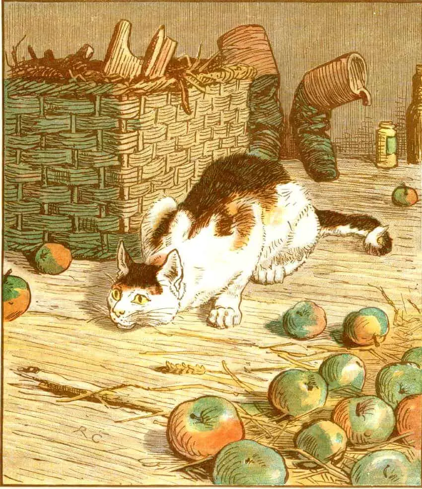 Randolph Caldecott cat in barn with apples