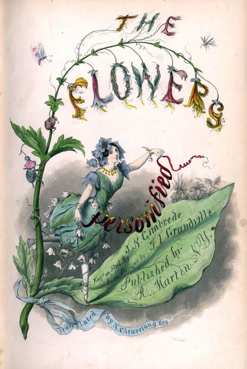 The Flowers Personified by French Caricaturist and illustrator (Jean Ignace Isidore Gérard), nom de plume J.J Grandville, 1847