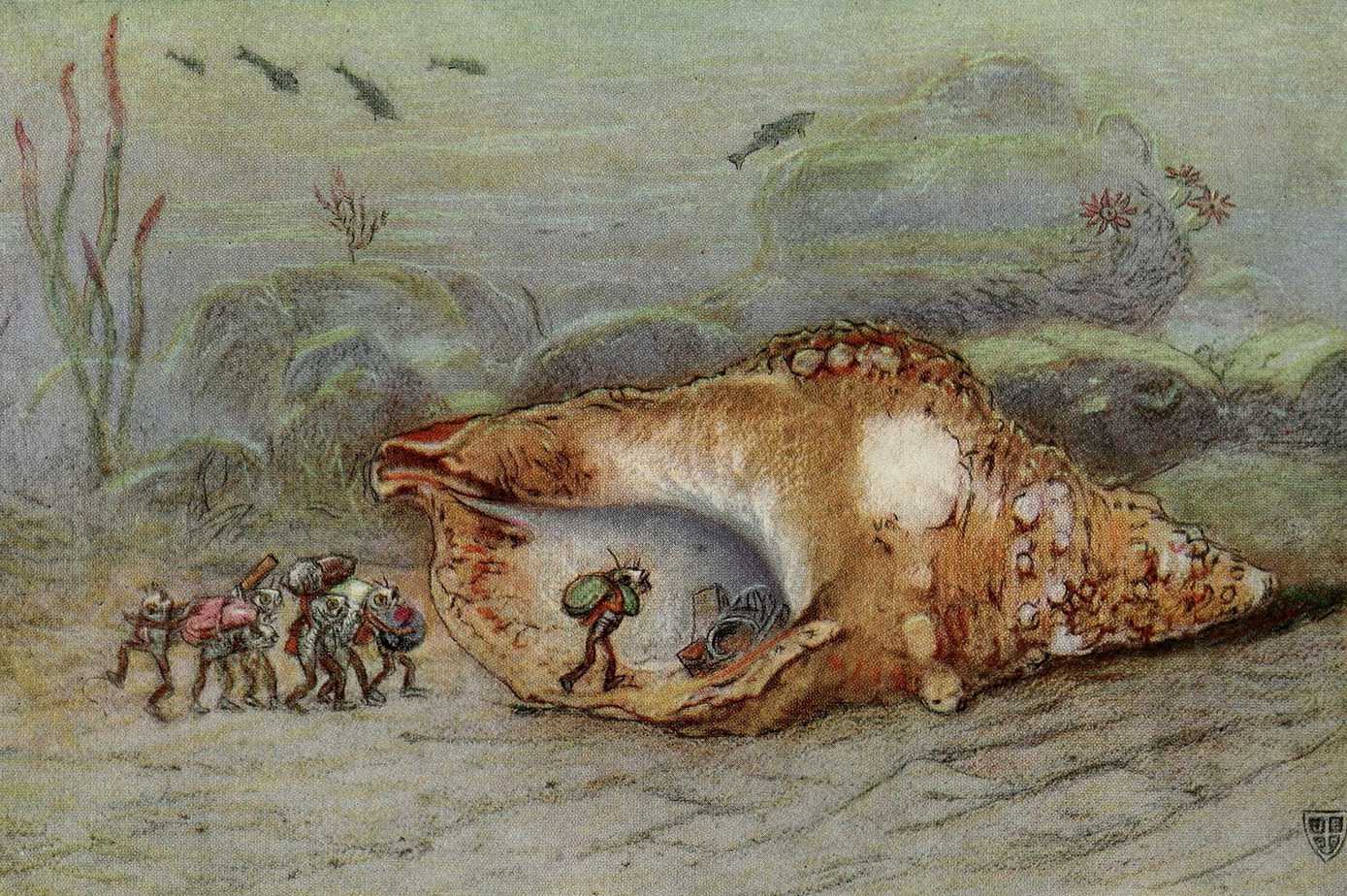 Seashells are beautiful, ornamental, intriguing artifacts and we have long been interested in them as a potentially magical item. This illustration is from The Great Sea Horse 1909 by Isabel Anderson.