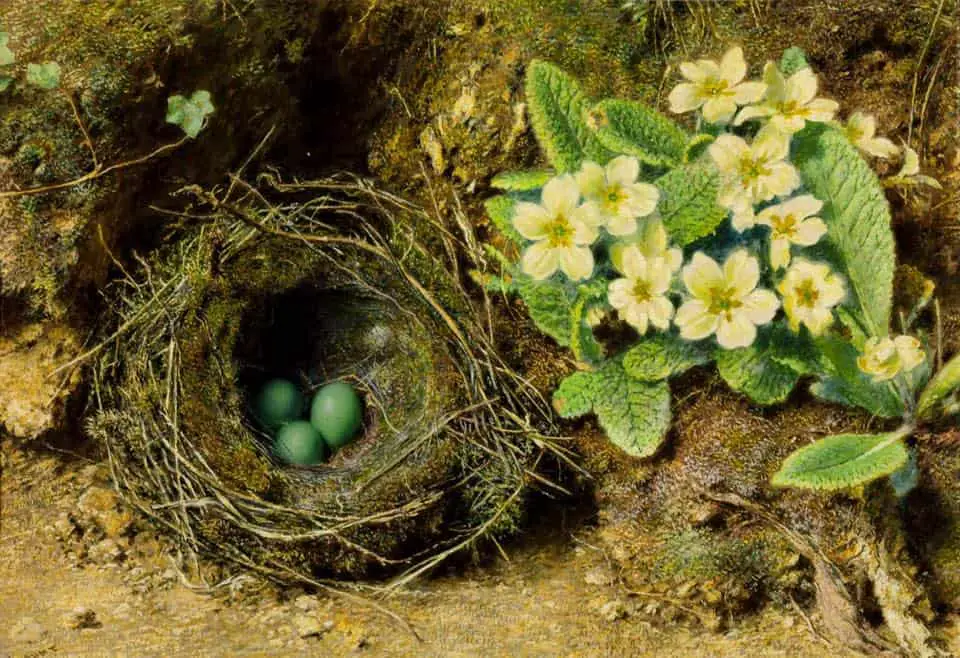 William Hunt's Bird's Nest green eggs