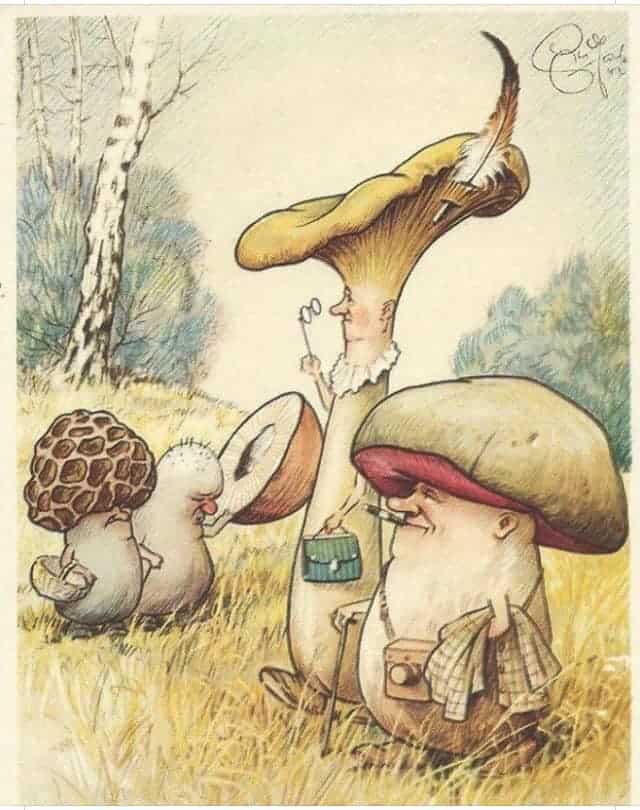 mushroom postcard by German artist Heinz Geilfus,1930s